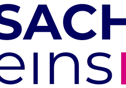 SachsenEins — Germany logo